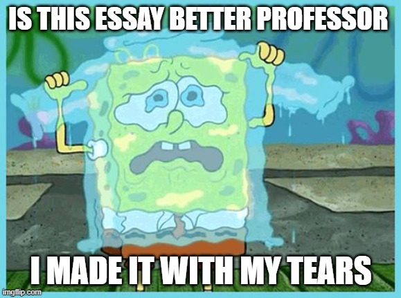 SpongeBob tears | IS THIS ESSAY BETTER PROFESSOR; I MADE IT WITH MY TEARS | image tagged in spongebob tears | made w/ Imgflip meme maker