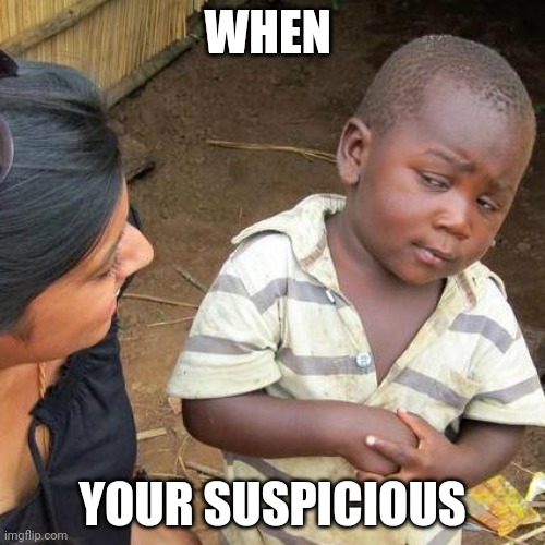 Its an anti meme, I'm not stupid. | WHEN; YOUR SUSPICIOUS | image tagged in anti meme,suspicious,third world skeptical kid | made w/ Imgflip meme maker