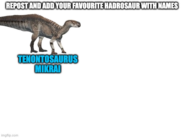 Hadrosaurs are the best | REPOST AND ADD YOUR FAVOURITE HADROSAUR WITH NAMES; TENONTOSAURUS
MIKRAI | made w/ Imgflip meme maker
