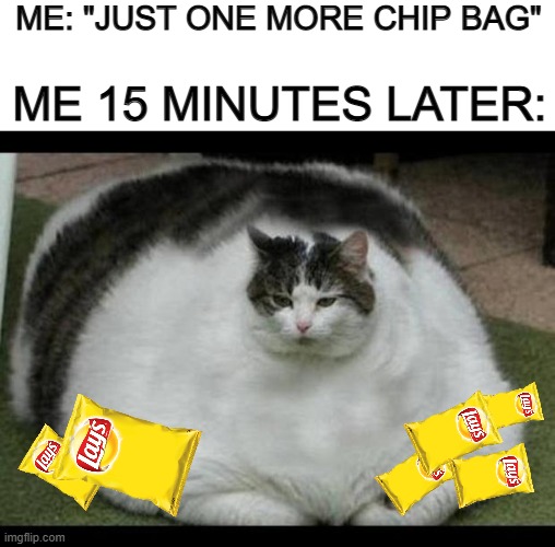 Bad quality meme, but still relatable :] | ME: "JUST ONE MORE CHIP BAG"; ME 15 MINUTES LATER: | image tagged in blank white template,fat cat 2 | made w/ Imgflip meme maker