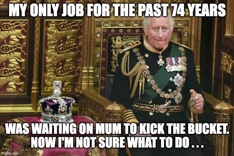 Without the "royal" title, he would be a second rate vacuum cleaner salesman in Sussex. | MY ONLY JOB FOR THE PAST 74 YEARS; WAS WAITING ON MUM TO KICK THE BUCKET.
NOW I'M NOT SURE WHAT TO DO . . . | image tagged in king charles iii | made w/ Imgflip meme maker