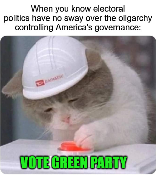 When you know electoral politics have no sway over the oligarchy controlling America's governance:; VOTE GREEN PARTY | image tagged in cat,green party,oligarchy,america,electorial politics | made w/ Imgflip meme maker