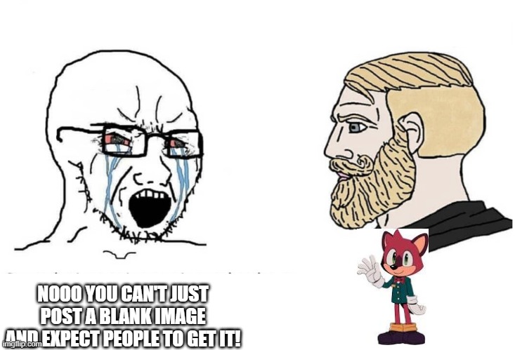Soyboy Vs Yes Chad | NOOO YOU CAN'T JUST POST A BLANK IMAGE AND EXPECT PEOPLE TO GET IT! | image tagged in soyboy vs yes chad | made w/ Imgflip meme maker