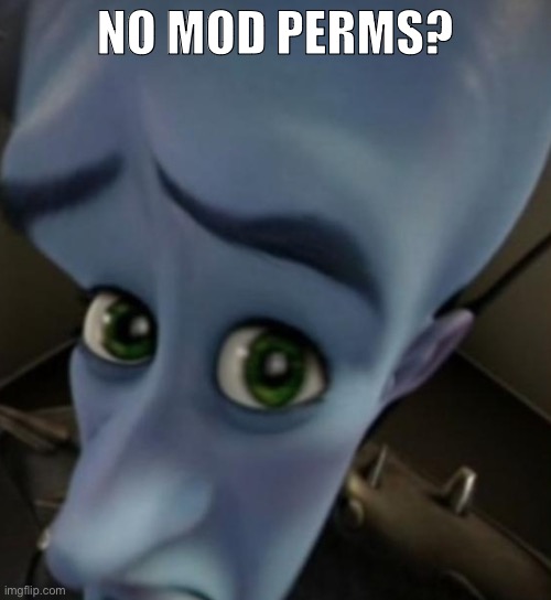 Megamind no bitches | NO MOD PERMS? | image tagged in megamind no bitches | made w/ Imgflip meme maker