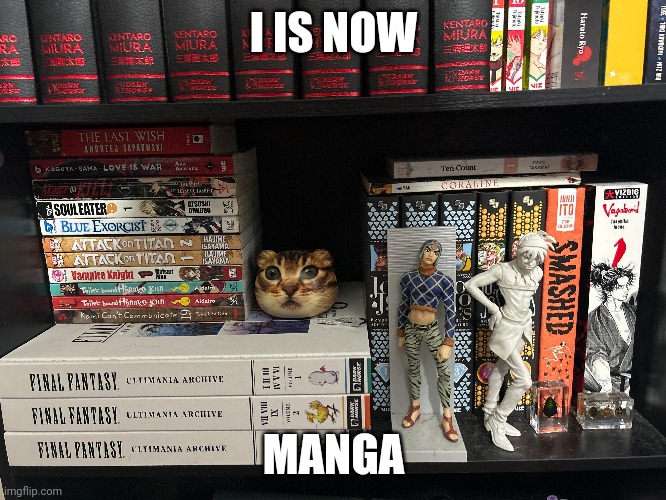 Manga cat | I IS NOW; MANGA | image tagged in manga,cats,anime | made w/ Imgflip meme maker