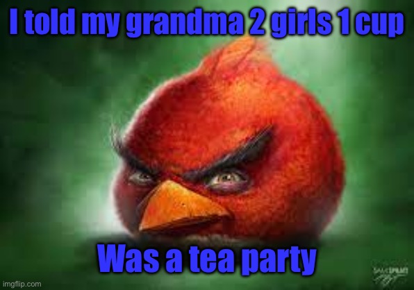 Realistic Red Angry Birds | I told my grandma 2 girls 1 cup; Was a tea party | image tagged in realistic red angry birds | made w/ Imgflip meme maker