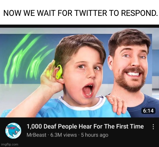 Most hated philanthropist. | NOW WE WAIT FOR TWITTER TO RESPOND. | image tagged in mr beast | made w/ Imgflip meme maker