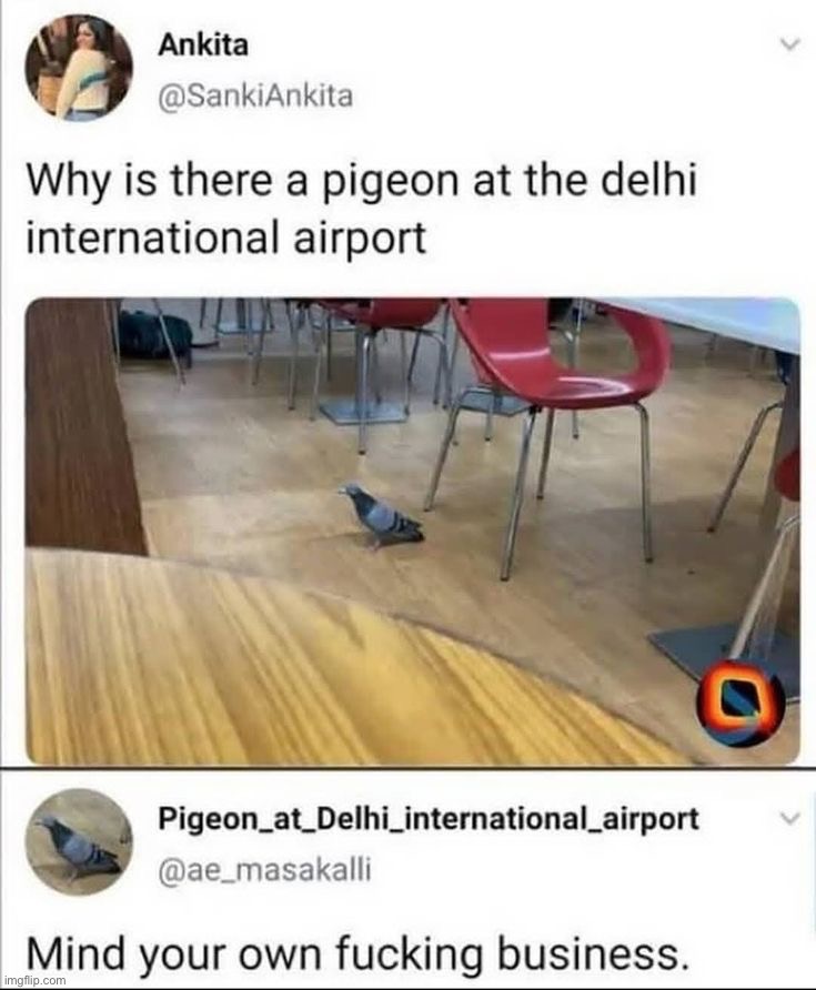 image tagged in memes | made w/ Imgflip meme maker