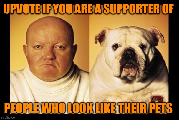 I look like my dog man | UPVOTE IF YOU ARE A SUPPORTER OF; PEOPLE WHO LOOK LIKE THEIR PETS | image tagged in i look like my dog man | made w/ Imgflip meme maker