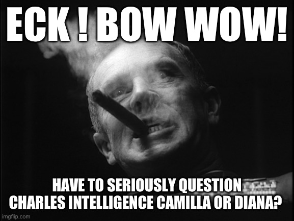General Ripper (Dr. Strangelove) | ECK ! BOW WOW! HAVE TO SERIOUSLY QUESTION CHARLES INTELLIGENCE CAMILLA OR DIANA? | image tagged in general ripper dr strangelove | made w/ Imgflip meme maker