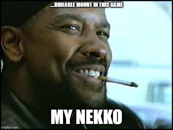 Denzel | ....RIDEABLE MOUNT IN THIS GAME; MY NEKKO | image tagged in denzel | made w/ Imgflip meme maker