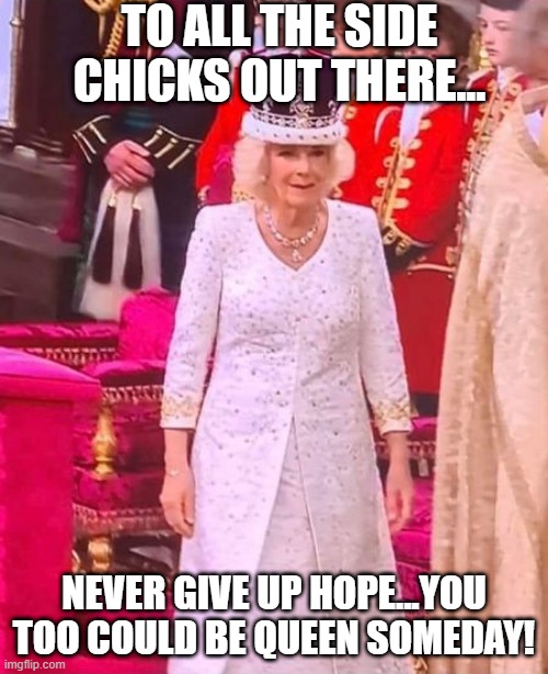 Never Give Up | TO ALL THE SIDE CHICKS OUT THERE... NEVER GIVE UP HOPE...YOU TOO COULD BE QUEEN SOMEDAY! | image tagged in funny,memes | made w/ Imgflip meme maker