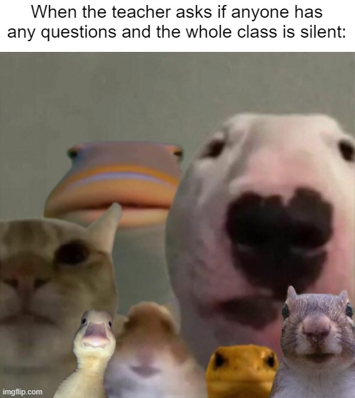 :| | When the teacher asks if anyone has any questions and the whole class is silent: | image tagged in the council remastered,school,memes,funny,silent,so true memes | made w/ Imgflip meme maker