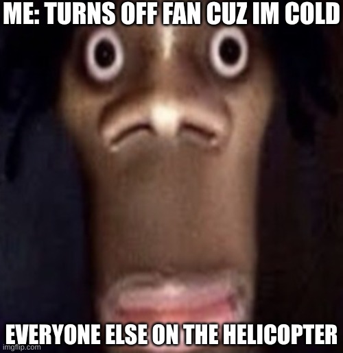 Quandale dingle | ME: TURNS OFF FAN CUZ IM COLD; EVERYONE ELSE ON THE HELICOPTER | image tagged in quandale dingle | made w/ Imgflip meme maker