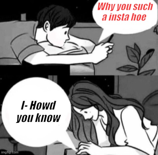 Boy and girl texting | Why you such a insta hoe; I- Howd you know | image tagged in boy and girl texting | made w/ Imgflip meme maker