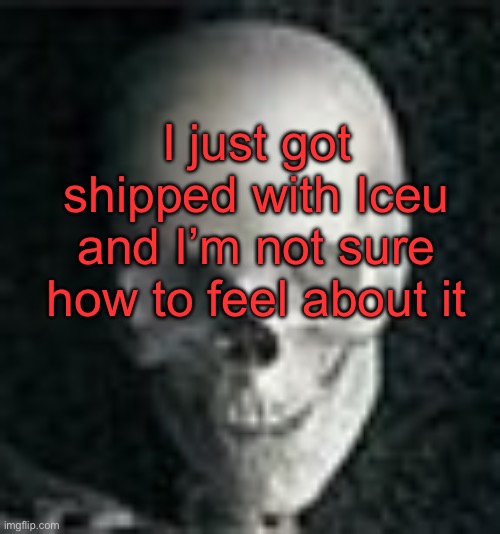 . | I just got shipped with Iceu and I’m not sure how to feel about it | image tagged in skull | made w/ Imgflip meme maker