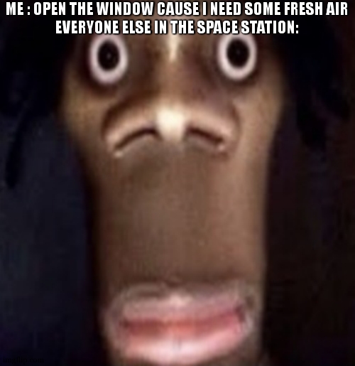 1 seconde before disaster | ME : OPEN THE WINDOW CAUSE I NEED SOME FRESH AIR
EVERYONE ELSE IN THE SPACE STATION: | image tagged in quandale dingle,disaster,international space station,we're all gonna die,funny,meme | made w/ Imgflip meme maker