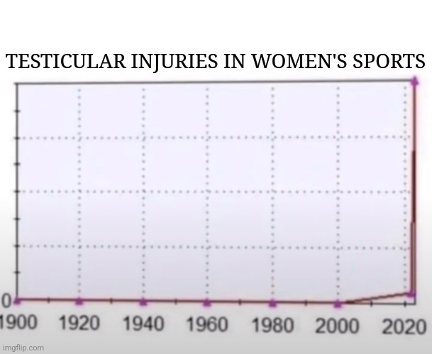 Wearing groin guard and jackstrap should be mandatory in women's sports! | TESTICULAR INJURIES IN WOMEN'S SPORTS | image tagged in funny | made w/ Imgflip meme maker