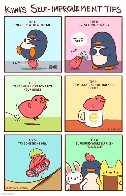 important note- penguin will always drink coffee | image tagged in animals,comics | made w/ Imgflip meme maker