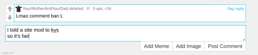 made w/ Imgflip meme maker