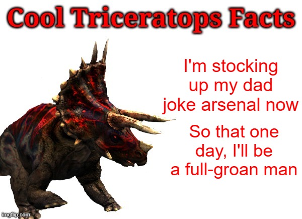 Groan | I'm stocking up my dad joke arsenal now; So that one day, I'll be a full-groan man | image tagged in cool triceratops facts,dad jokes | made w/ Imgflip meme maker