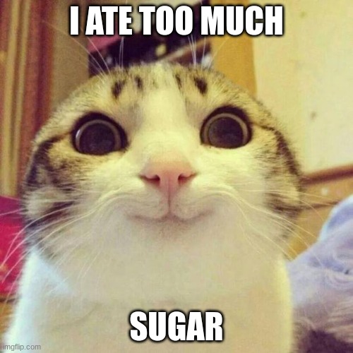 Me, right now. | I ATE TOO MUCH; SUGAR | image tagged in memes,smiling cat | made w/ Imgflip meme maker