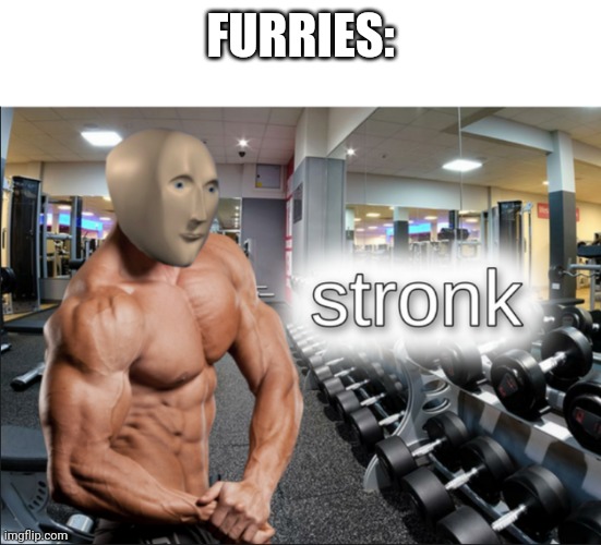 stronks | FURRIES: | image tagged in stronks | made w/ Imgflip meme maker