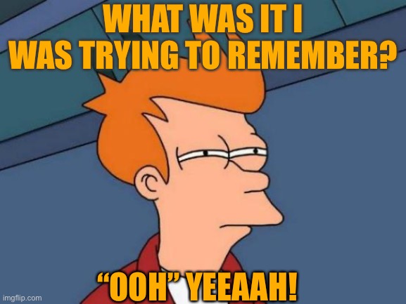 Futurama Fry | WHAT WAS IT I WAS TRYING TO REMEMBER? “OOH” YEEAAH! | image tagged in memes,futurama fry | made w/ Imgflip meme maker