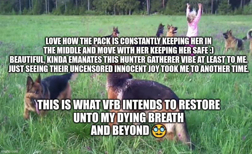 LOVE HOW THE PACK IS CONSTANTLY KEEPING HER IN THE MIDDLE AND MOVE WITH HER KEEPING HER SAFE :)
BEAUTIFUL, KINDA EMANATES THIS HUNTER GATHERER VIBE AT LEAST TO ME. JUST SEEING THEIR UNCENSORED INNOCENT JOY TOOK ME TO ANOTHER TIME. THIS IS WHAT VFB INTENDS TO RESTORE
UNTO MY DYING BREATH
AND BEYOND 🥸 | made w/ Imgflip meme maker