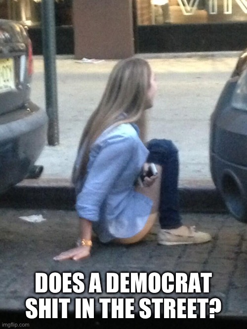 Democrats | DOES A DEMOCRAT SHIT IN THE STREET? | image tagged in democrats shit,memes,funny | made w/ Imgflip meme maker