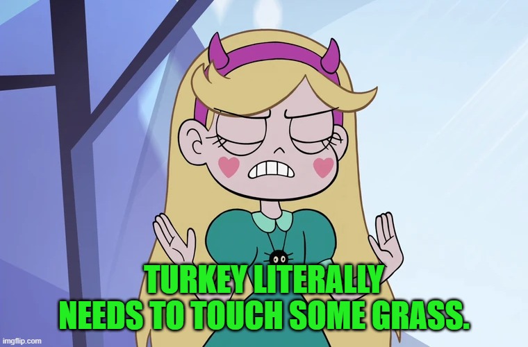 Star Butterfly 'okay, fine' | TURKEY LITERALLY NEEDS TO TOUCH SOME GRASS. | image tagged in star butterfly 'okay fine' | made w/ Imgflip meme maker