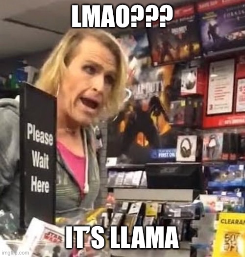 bro misgendered lmao | LMAO??? IT’S LLAMA | image tagged in it's ma'am | made w/ Imgflip meme maker