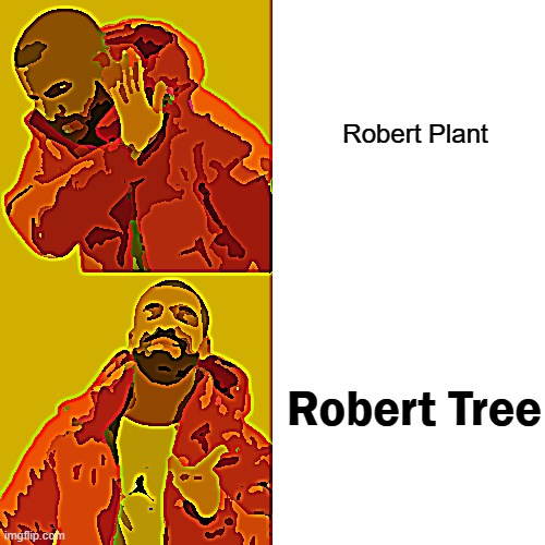 Robert Plant Vs Robert Tree | Robert Plant; Robert Tree | image tagged in memes,drake hotline bling | made w/ Imgflip meme maker