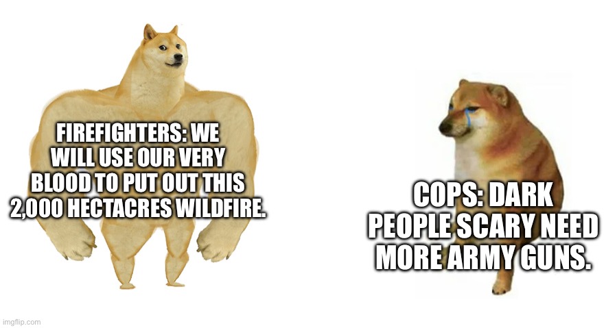 Not every cop but it’s not far off. | FIREFIGHTERS: WE WILL USE OUR VERY BLOOD TO PUT OUT THIS 2,000 HECTACRES WILDFIRE. COPS: DARK PEOPLE SCARY NEED MORE ARMY GUNS. | image tagged in buff doge vs crying cheems | made w/ Imgflip meme maker