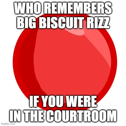 S | WHO REMEMBERS BIG BISCUIT RIZZ; IF YOU WERE IN THE COURTROOM | image tagged in s | made w/ Imgflip meme maker