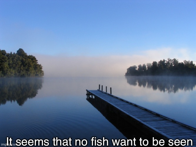 Lake | It seems that no fish want to be seen | image tagged in lake | made w/ Imgflip meme maker