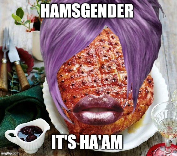 It's ha'am | HAMSGENDER; IT'S HA'AM | image tagged in funny memes | made w/ Imgflip meme maker