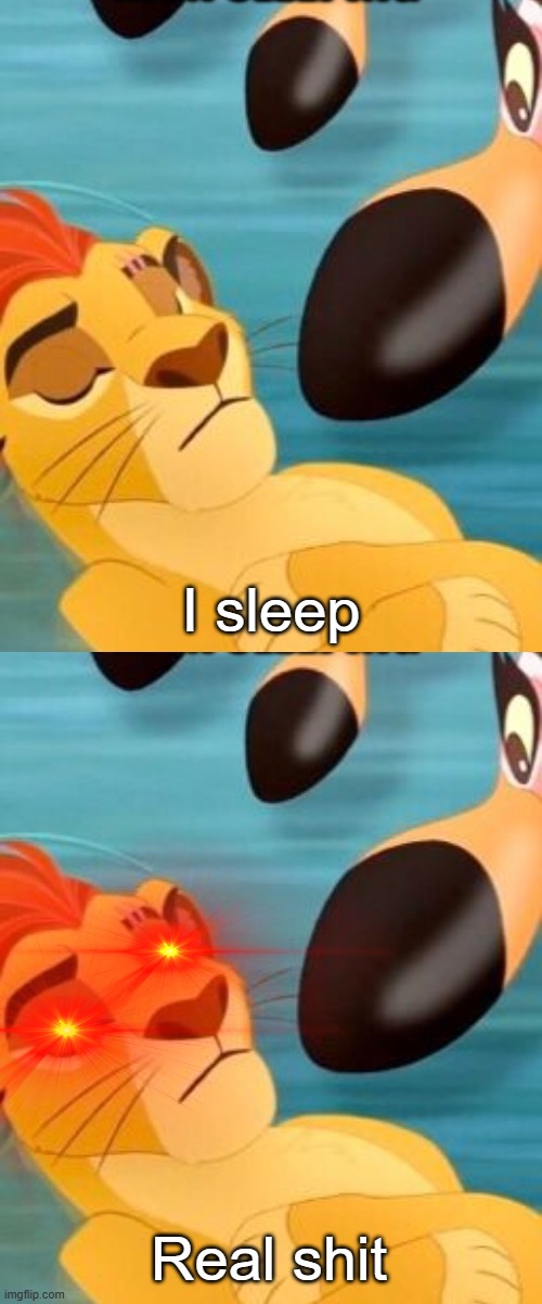 My new template, going to use it to make fun of Kion | I sleep; Real shit | image tagged in kion sleeping for no reason | made w/ Imgflip meme maker