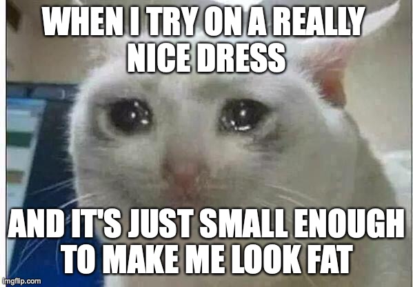crying cat | WHEN I TRY ON A REALLY 
NICE DRESS; AND IT'S JUST SMALL ENOUGH
TO MAKE ME LOOK FAT | image tagged in crying cat | made w/ Imgflip meme maker
