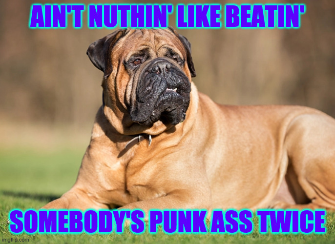 AIN'T NUTHIN' LIKE BEATIN' SOMEBODY'S PUNK ASS TWICE | made w/ Imgflip meme maker
