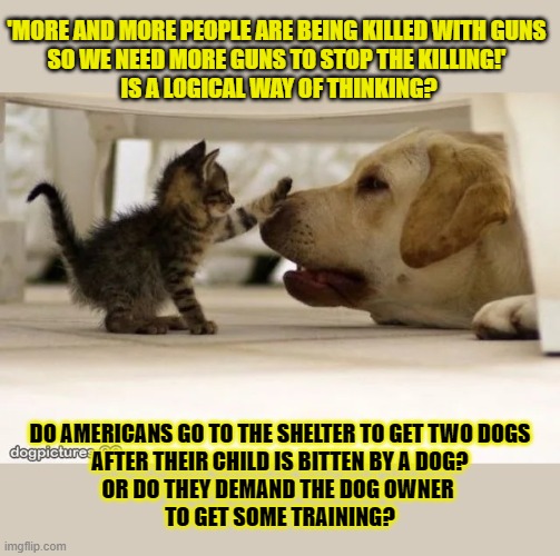 This #lolcat wonders why some think the best way to end violence is more violence | 'MORE AND MORE PEOPLE ARE BEING KILLED WITH GUNS 
SO WE NEED MORE GUNS TO STOP THE KILLING!' 
IS A LOGICAL WAY OF THINKING? DO AMERICANS GO TO THE SHELTER TO GET TWO DOGS
AFTER THEIR CHILD IS BITTEN BY A DOG?
OR DO THEY DEMAND THE DOG OWNER 
TO GET SOME TRAINING? | image tagged in gun control,lolcat,violence is never the answer,think about it,nra | made w/ Imgflip meme maker