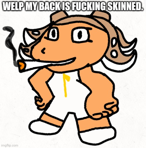 Side order agent 8 smokes a fat blunt | WELP MY BACK IS FUCKING SKINNED. | image tagged in side order agent 8 smokes a fat blunt | made w/ Imgflip meme maker
