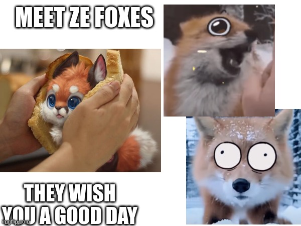 yEy | MEET ZE FOXES; THEY WISH YOU A GOOD DAY | image tagged in ze breb fox,ze mental brekdun fox,ze fox who has been booped | made w/ Imgflip meme maker