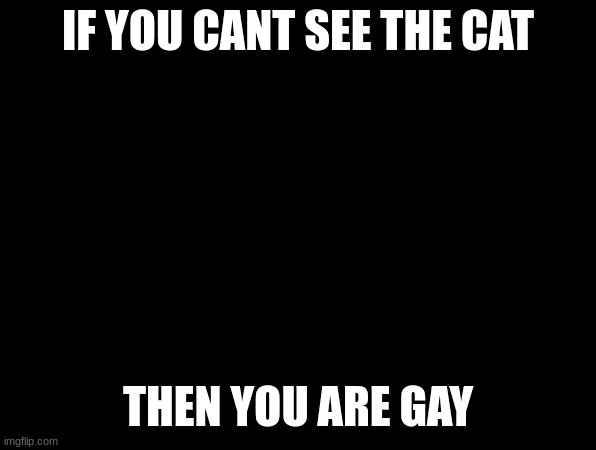 IF YOU CANT SEE THE CAT; THEN YOU ARE GAY | image tagged in gay jokes | made w/ Imgflip meme maker