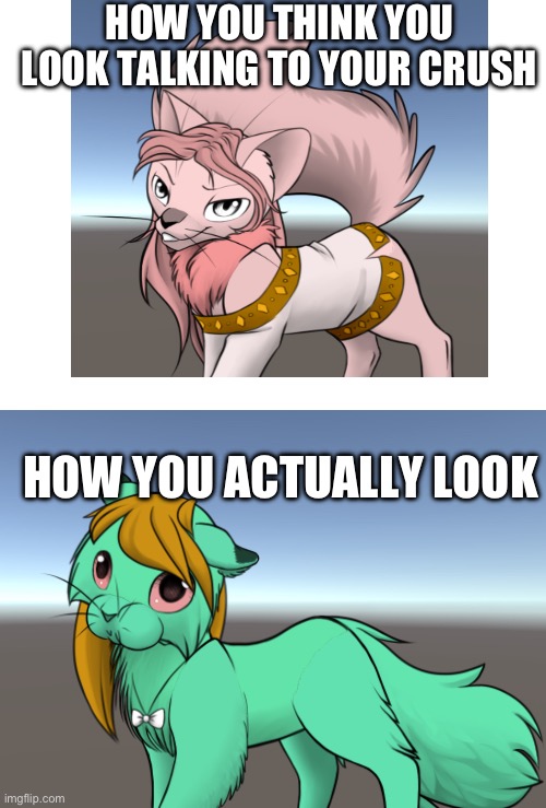 HOW YOU THINK YOU LOOK TALKING TO YOUR CRUSH; HOW YOU ACTUALLY LOOK | image tagged in how you actually look cat | made w/ Imgflip meme maker