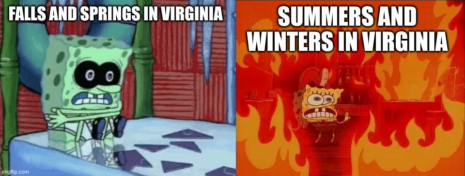 Only people who live where I live will understand, lol | SUMMERS AND WINTERS IN VIRGINIA; FALLS AND SPRINGS IN VIRGINIA | image tagged in spongebob cold hot | made w/ Imgflip meme maker