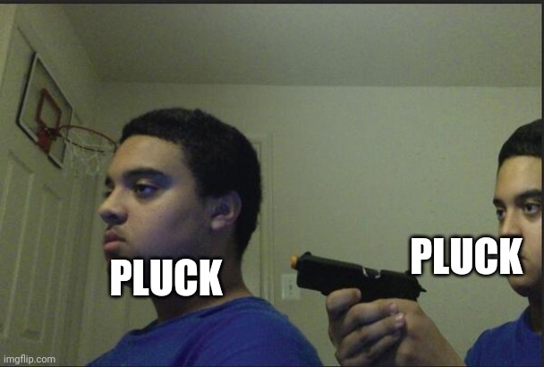 Trust Nobody, Not Even Yourself | PLUCK PLUCK | image tagged in trust nobody not even yourself | made w/ Imgflip meme maker