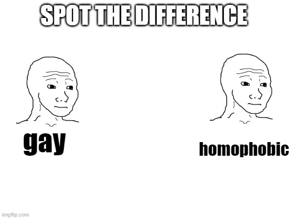 SPOT THE DIFFERENCE; gay; homophobic | made w/ Imgflip meme maker