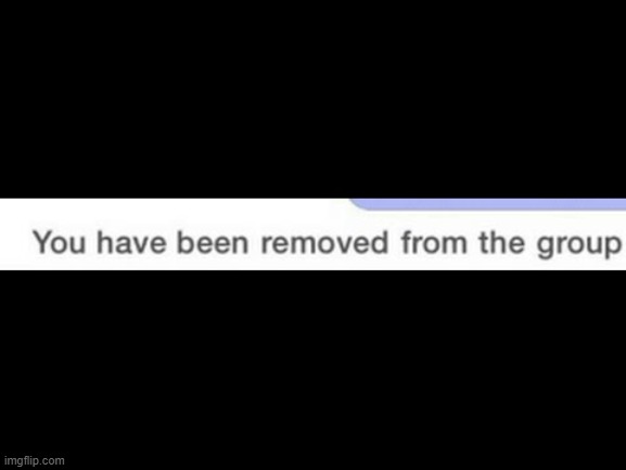 you have been removed from the group | image tagged in you have been removed from the group | made w/ Imgflip meme maker