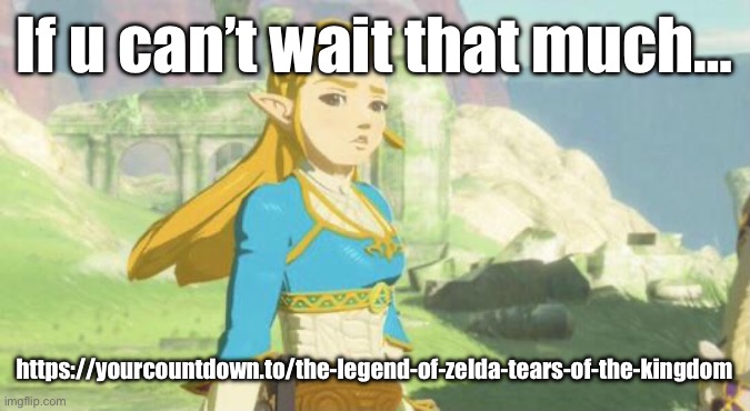 Judging zelda | If u can’t wait that much…; https://yourcountdown.to/the-legend-of-zelda-tears-of-the-kingdom | image tagged in judging zelda | made w/ Imgflip meme maker
